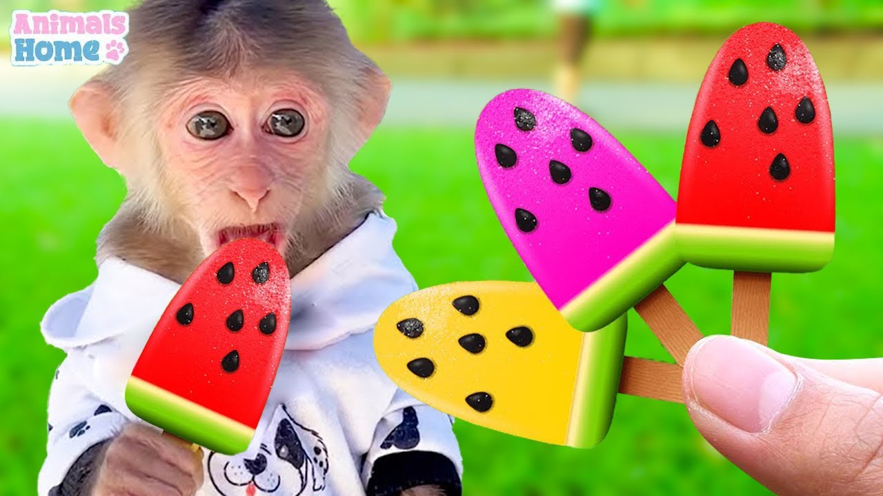 🔴 LIVE - Monkey Baby BiBi plays with puppies and bathes with ducklings in the bathroom