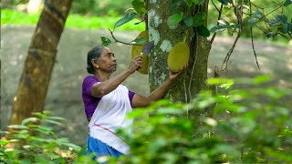 Kerala Style Tender Jackfruit Curry | Idichakka Curry