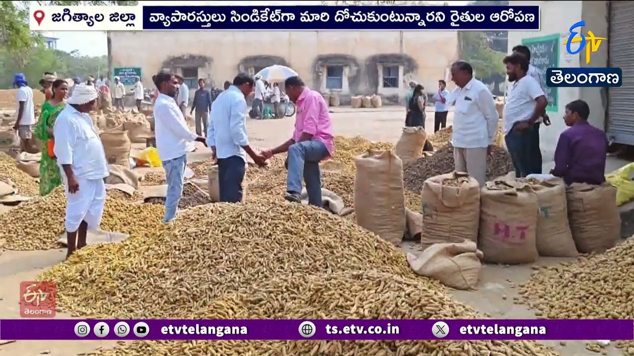 Turmeric Farmers Concerns For Lack of Support Price | పసుపు రైతుల ఆవేదన | మద్దతు ధరలేక నష్టాలు