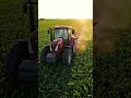 #asthetic #csgo #analytics #farmer #farming #short #shortsfeed #shortvideo #feedshorts #trending