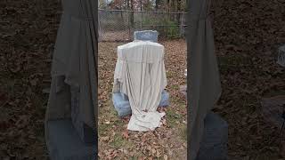 Covered Headstone Jewish Cemetery?