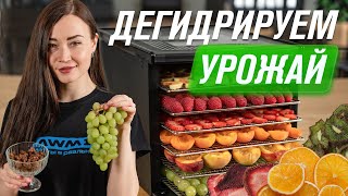 Как сохранить урожай: сушка фруктов, овощей, ягод, грибов в дегидраторе RAWMID RMD-10 и RCD-06