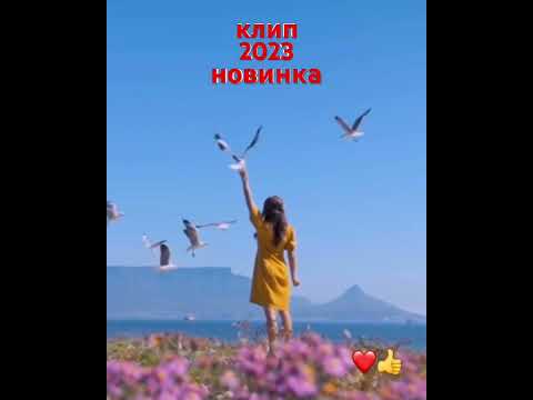 Группа Тэлика-Я жду #shorts #музыка #клипы #песниолюбви