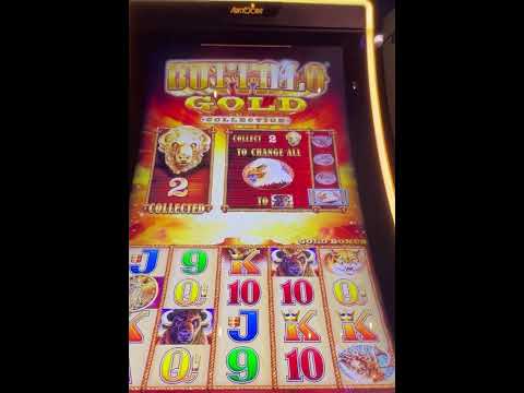 Fortune game 2 big win #bestslotgame #earninggame #bigearning #games #gameearningapp #hugejackpots
