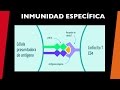 Inmunidad especifica - [visita mi Podcast y aprende Medicina mientras descansas]
