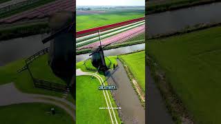 Explore the Netherlands 🌷 | Ultimate Travel Guide 2026 | Best Places to Visit #ytshorts #trend #8k