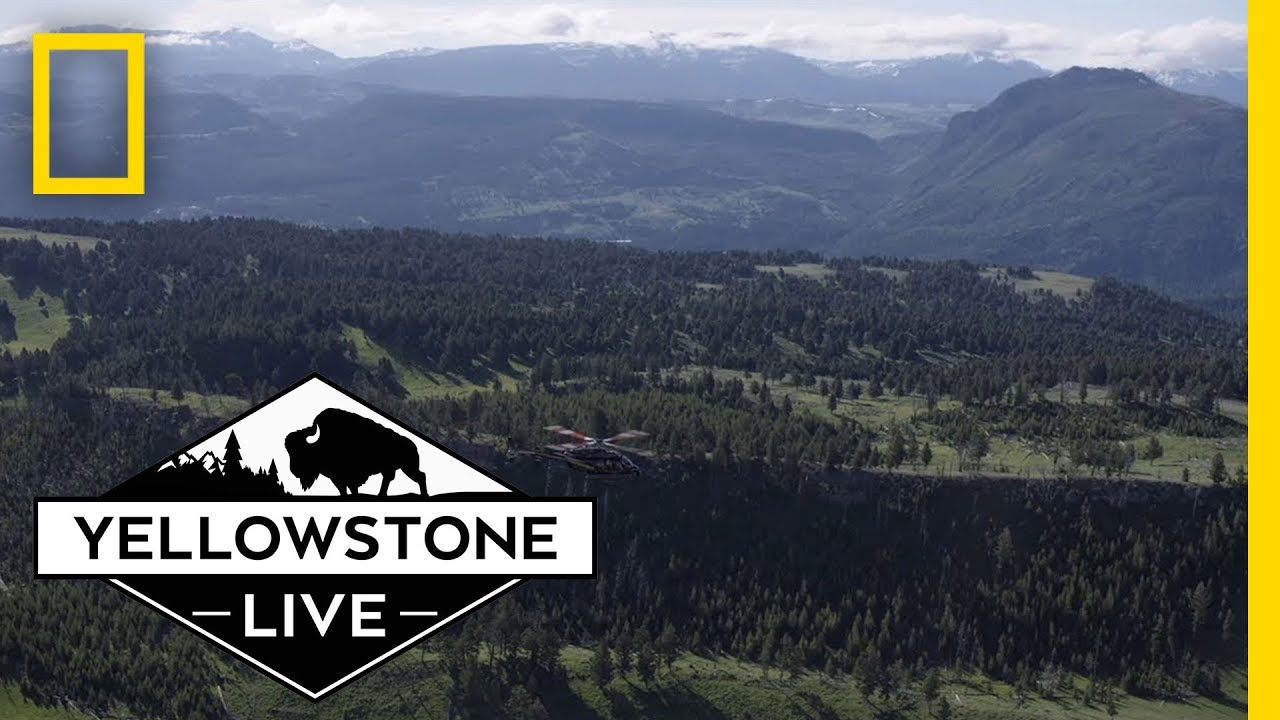 Yellowstone Live Behind The Scenes National Geographic YouTube
