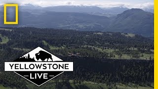 Yellowstone Live: Behind The Scenes | National Geographic