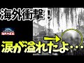 【海外の反応】「涙が溢れたよ」日本統治時代の台湾の姿に衝撃を受ける外国人続出!