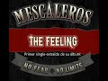 Mescaleros the feeling lyric