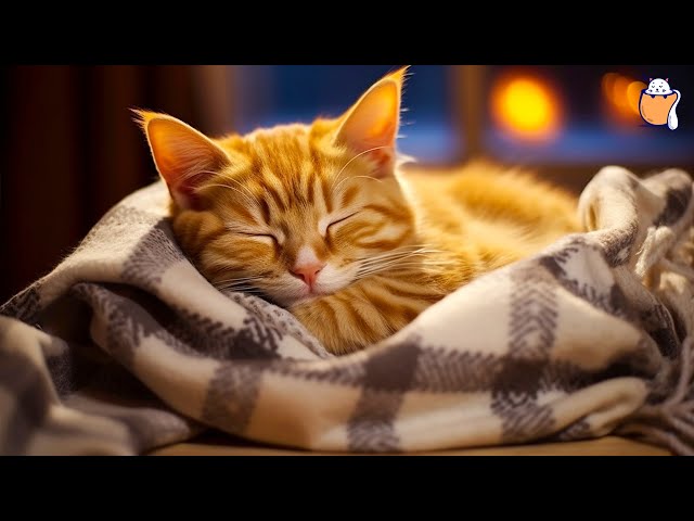 24/7 LIVE Relaxing Piano for Anxious cats | Stress-relief | Cat Music | Sleepy Cat class=