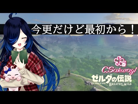 #1 今更めっちゃやりこみたいブレワイ【ゼルダの伝説ブレスオブザワイルド】【Vtuber】