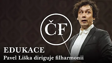 Co je liška polární?