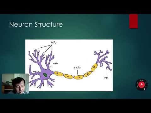 [기조강연]문과생을 위한 신경망이론 첫 걸음: PERCEPTRON 이란 무엇인가?