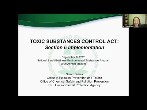 Update on TSCA Section 6 Implementation