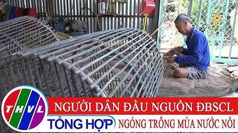 Người dân vùng đầu nguồn ĐBSCL ngóng trông mùa nước nổi