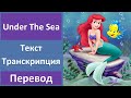 The Little Mermaid - Under The Sea - текст, перевод, транскрипция