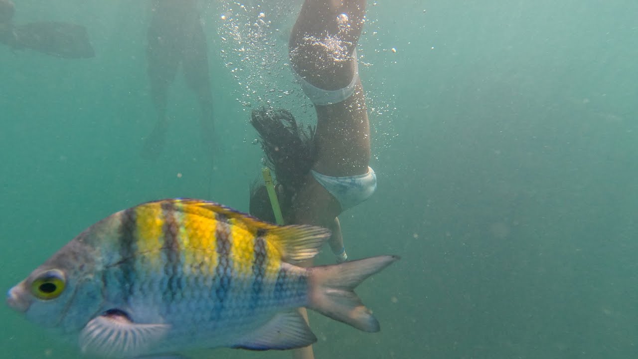 Costa Rica part 5 Manuel Antonio (Snorkeling & National Park) 4K YouTube