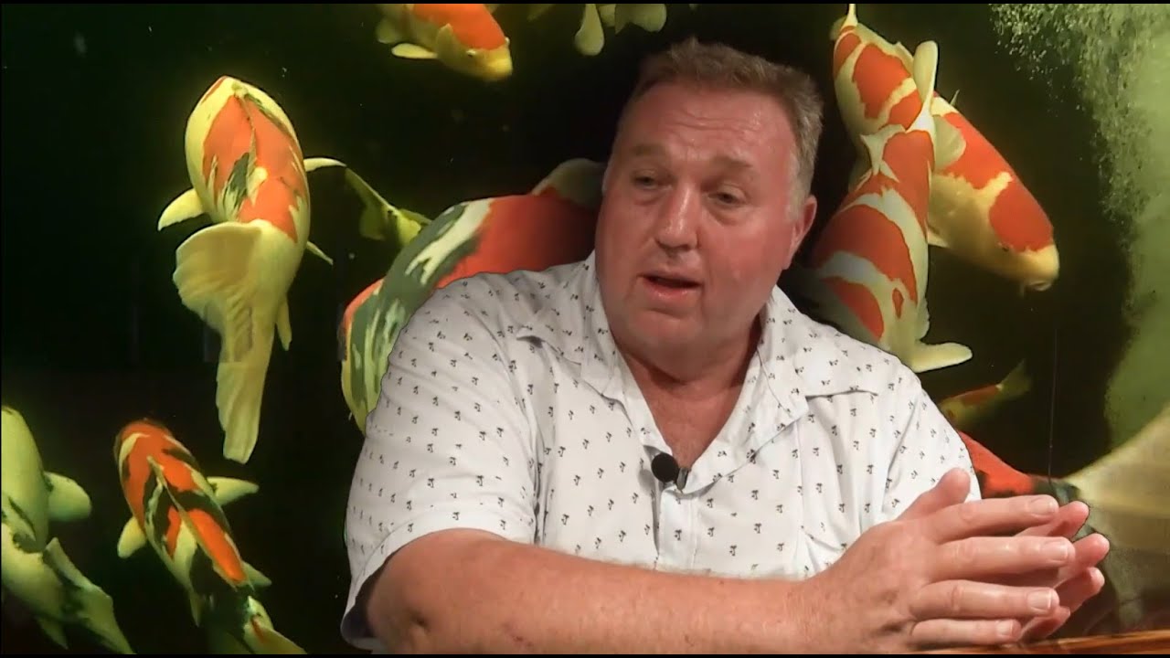 Советы по содержанию кои для любителей — с участием Стивена Смита и Кевина Тилла, врача KOI