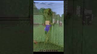 Day 2 of adding viewer suggestions to Minecraft #minecraft #minecraftshorts #meme #funny #modding
