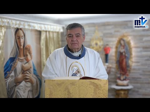 “No Hagas Sufrir a la Virgen” | Hom. Fiesta Presentación del Señor (02-02-2026) | P. Santiago Martín