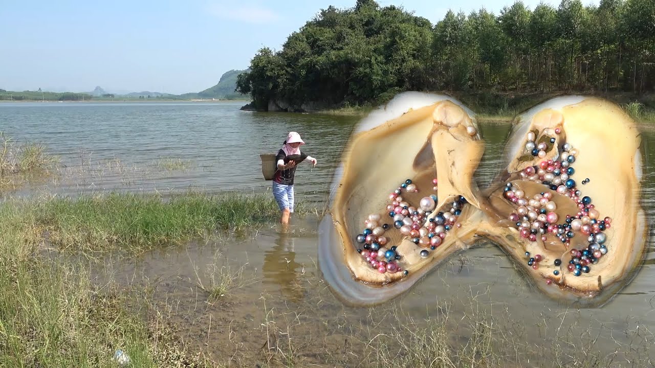 Pearl hunter/I was hunting treasures in the swamp, and I harvested