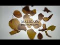 Maligaya - Munimuni x Anino Shadowplay Collective (Official Lyric Video)