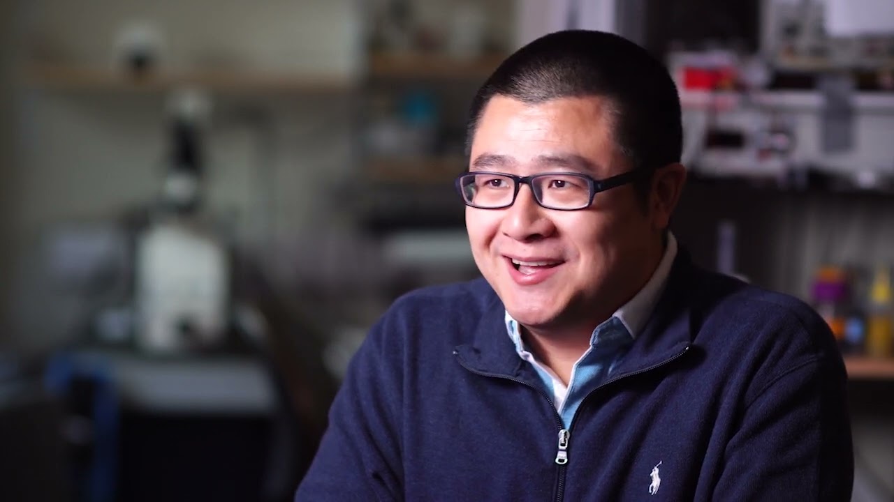 Light drives blood flow? Dr. Zheng Li