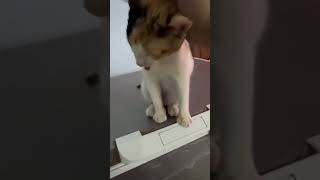 464891842 1091275531949137 1784087660613691341 n 1