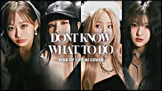 KISS OF LIFE - DON'T KNOW WHAT TO DO // AI COVER