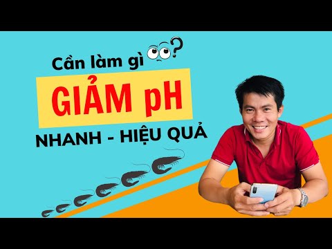 Video Cách hạ PH trong ao nuôi tôm | Nguyễn Minh Quốc #25 - youtube
