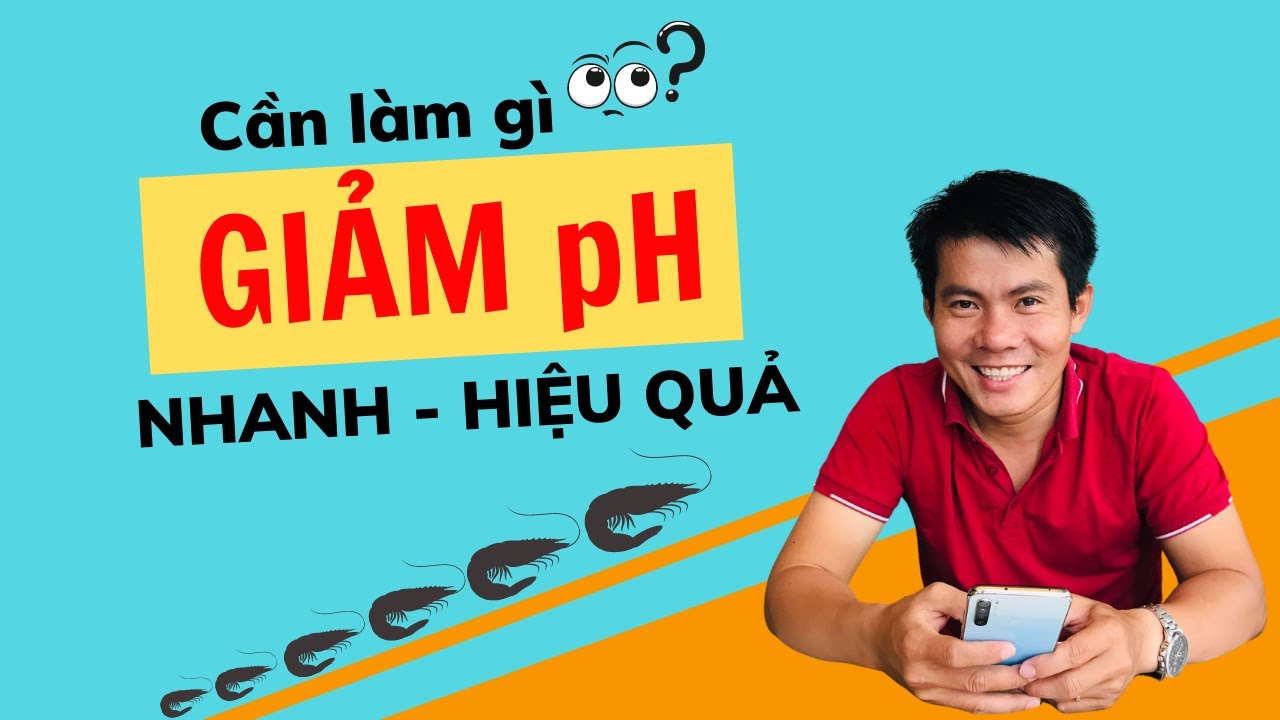 Cách hạ PH trong ao nuôi tôm | Nguyễn Minh Quốc #25
