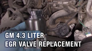 GM 4.3 Liter EGR Valve Replacement