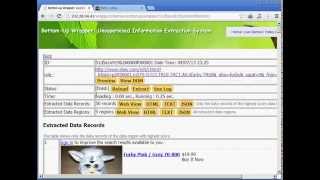 Full Bottom-Up Wrapper : Extracting Data Record from EBay News