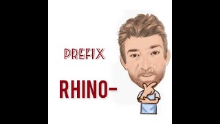 Rhino - English Prefix (92) Origin - English Tutor Nick P
