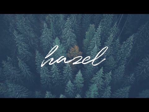 Hazel - ANIMATED STORIES, a Social Media Template by Crevo Studio (Thumbnail 2 of 10)