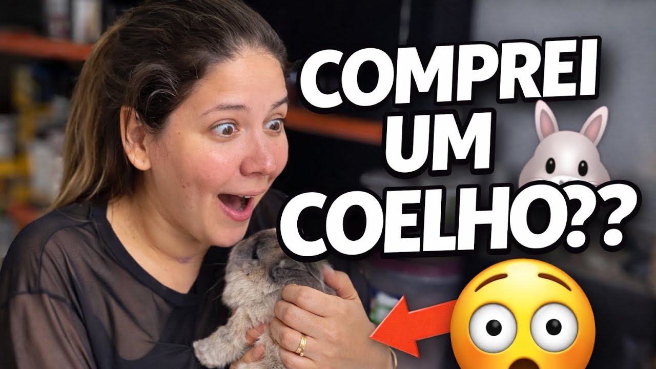 Como assim um coelho???? 😱😳