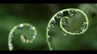 water droplets wallpaper screenshot 2