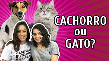 O que é melhor cachorro ou gato?