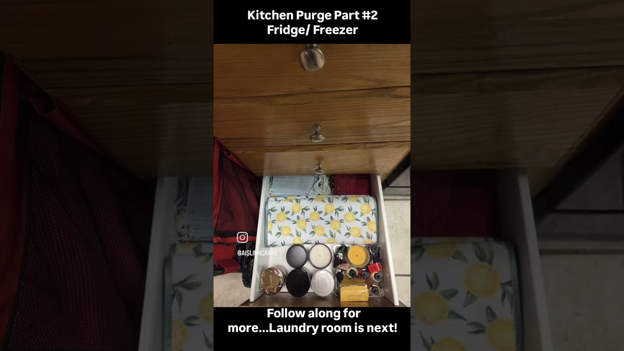 New Year Home Purge, Declutter, & organize! Fridge  Freezer. Subscribe to follow along! 