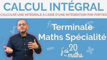 Calculer une intégrale à l