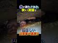 洞窟探検家が遭遇した恐ろしい出来事 #雑学#shorts