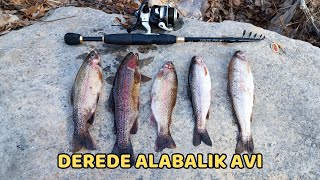 Fishing 2024, Trout Hunting, AMAZING FISHES