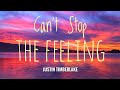 Justin timberlake  cant stop the feeling lyrics