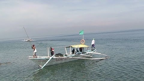 Field methods for documenting biodiversity