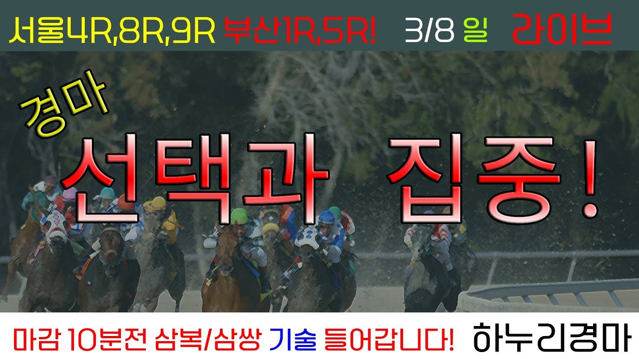 3/8(일) 경마 선택과 집중! 서울 4R,8R,9R 내용 굿!!  경주별 삼복/삼쌍 기술 들어갑니다!!