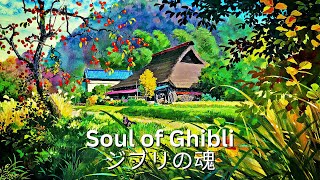 Ghibli Study with Me🍨 🐳Soul of Ghibli🌈🍈#spiritedaway #kikisdelivery #myneighbortotoro #arrietty