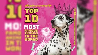 Top 10 Most Famous Animals in the World | دنیا کے دس مشہور ترین جانور by Cool & Hot Hub 182 views 8 months ago 6 minutes, 1 second