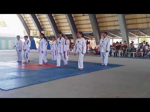 Taekwondo White Belt