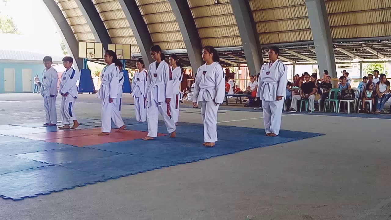 Taekwondo White Belt Promotion Test
